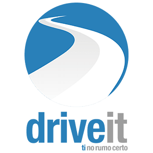 logo_driveit_vertical 300